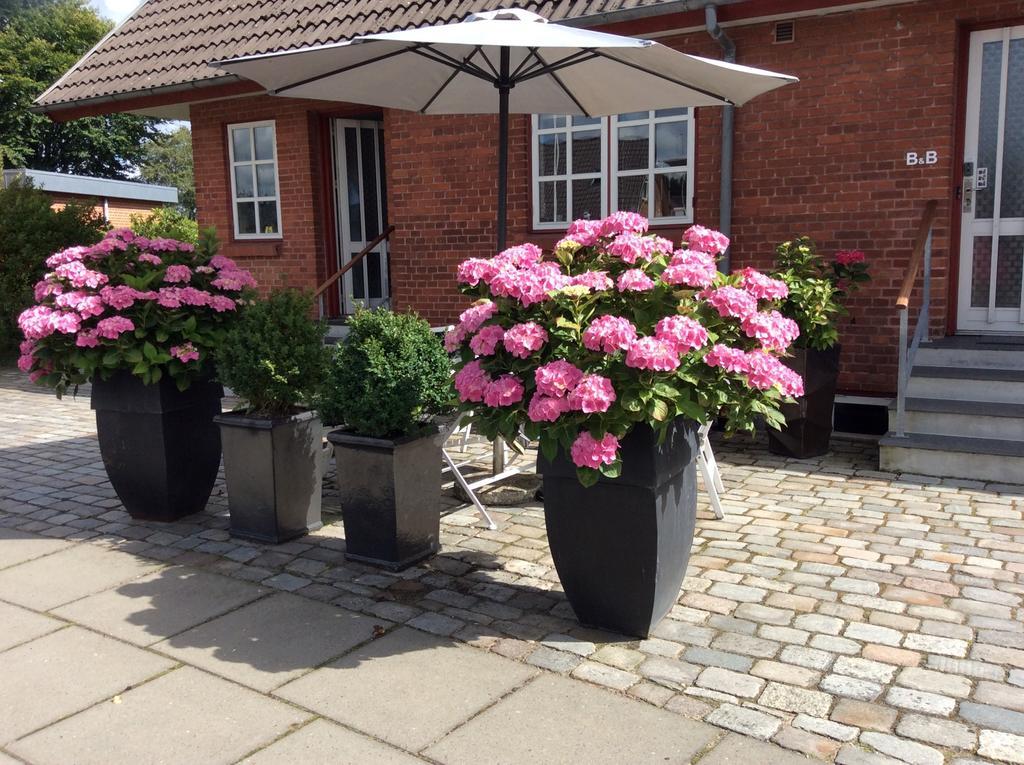 Hannas B&B - 51 M2 Grindsted Esterno foto